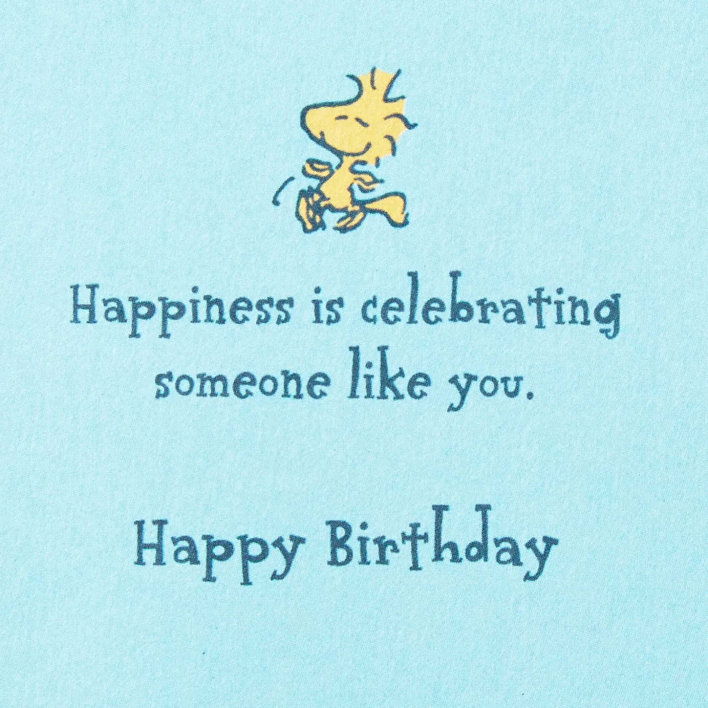 Peanuts® Snoopy and Woodstock Happiness Is Celebrating You Birthday Card