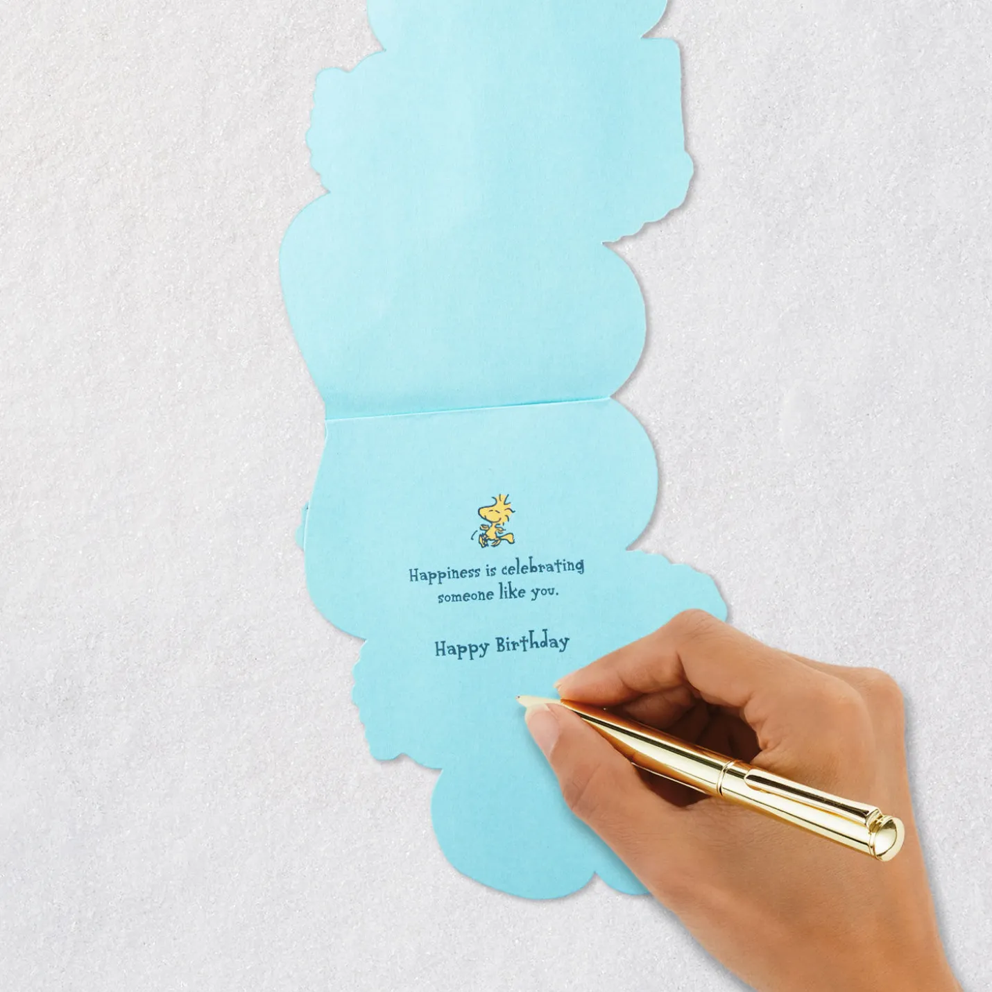 Peanuts® Snoopy and Woodstock Happiness Is Celebrating You Birthday Card