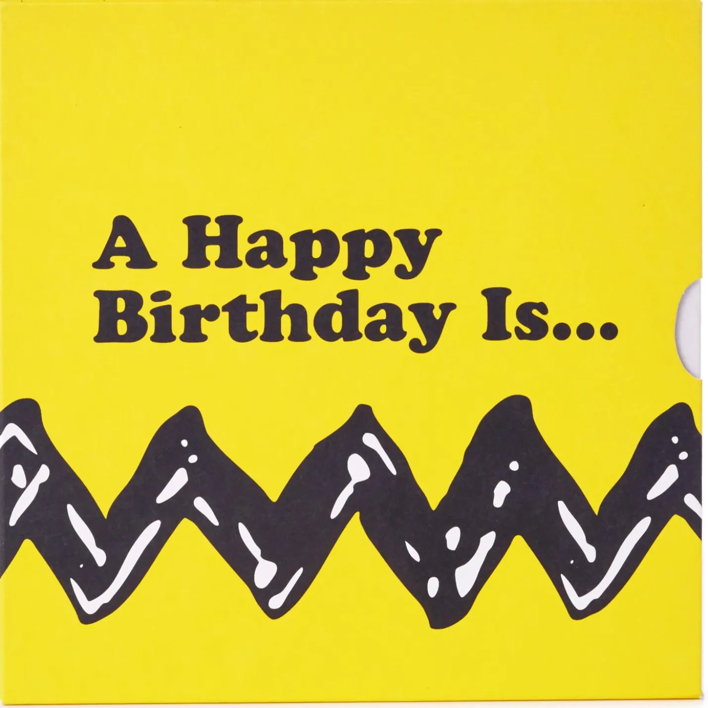 Peanuts® A Happy Birthday Is… Book