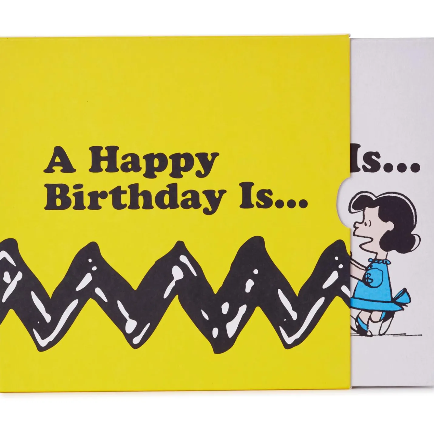 Peanuts® A Happy Birthday Is… Book