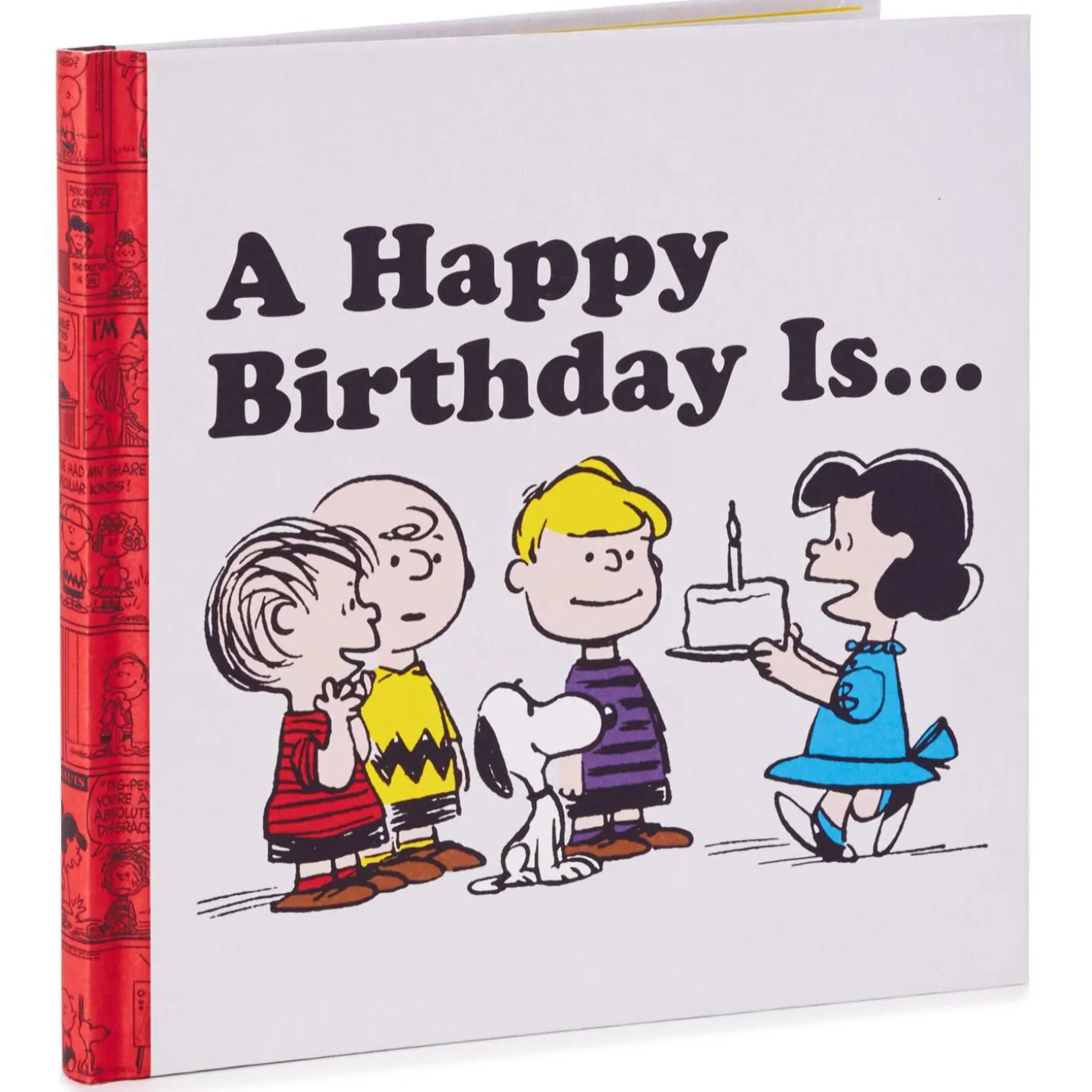 Peanuts® A Happy Birthday Is… Book