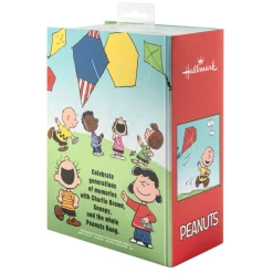 Peanuts® Charlie Brown and Snoopy Hallmark Ornaments, Set of 2