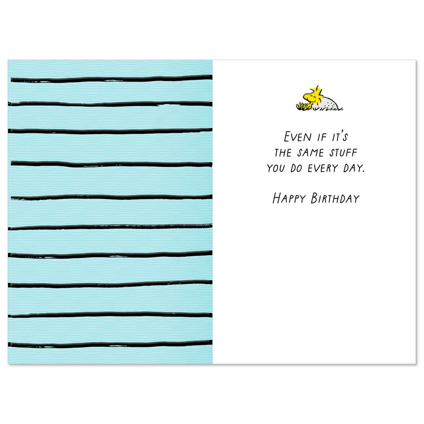 Peanuts® Do What Makes You Happy Snoopy Birthday Card
