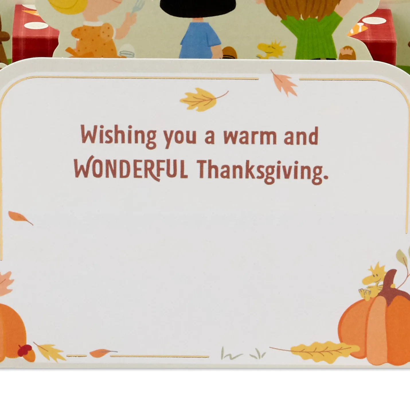 Peanuts® Give Thanks 3D Pop-Up Thanksgiving Card