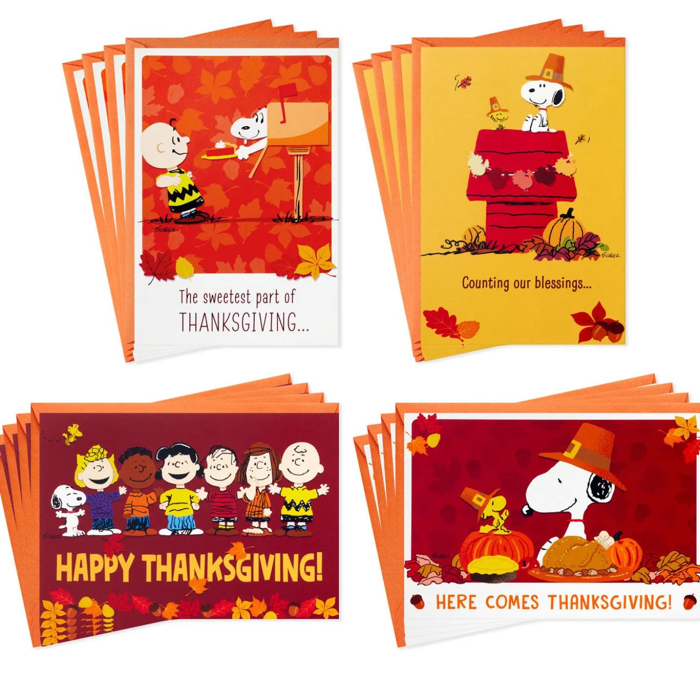 Peanuts® Good Wishes Boxed Thanksgiving Cards Assortment, Pack of 16
