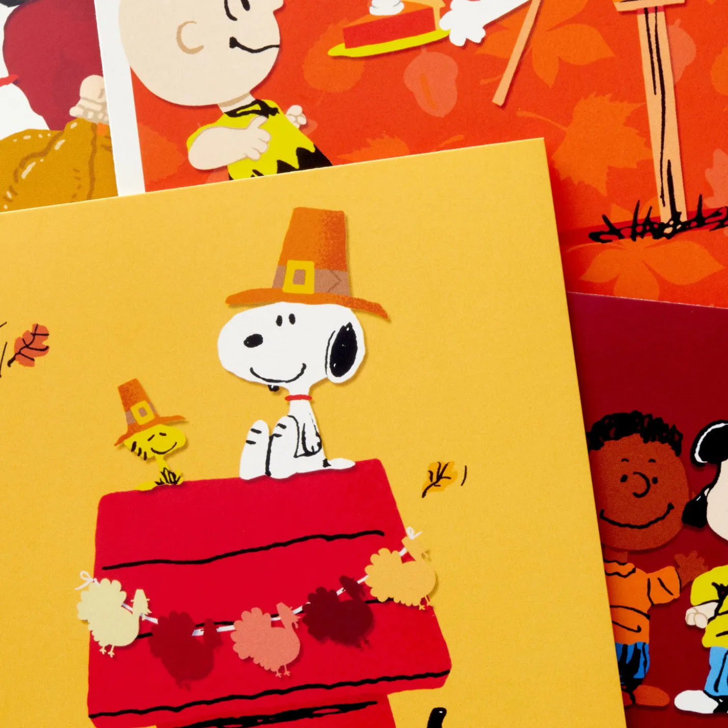 Peanuts® Good Wishes Boxed Thanksgiving Cards Assortment, Pack of 16