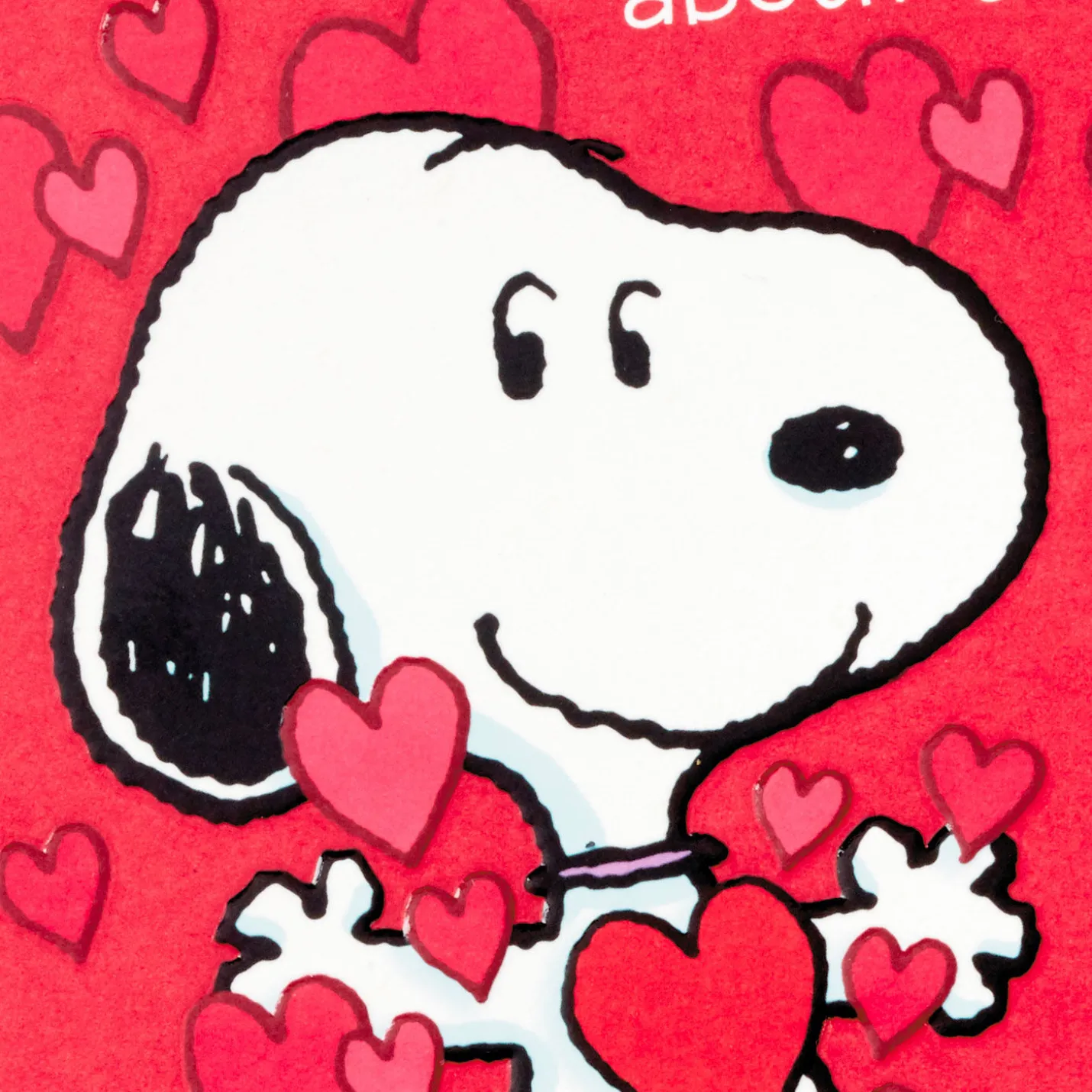 Peanuts® Love Everything About You Valentine's Day Card