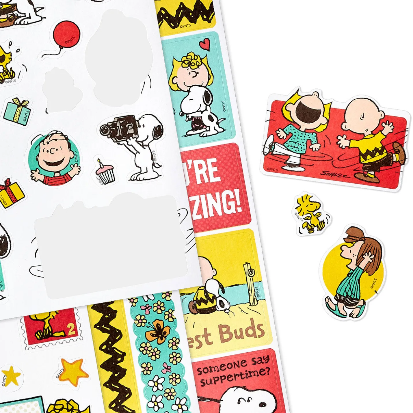 Peanuts® Snoopy and Friends Sticker Book