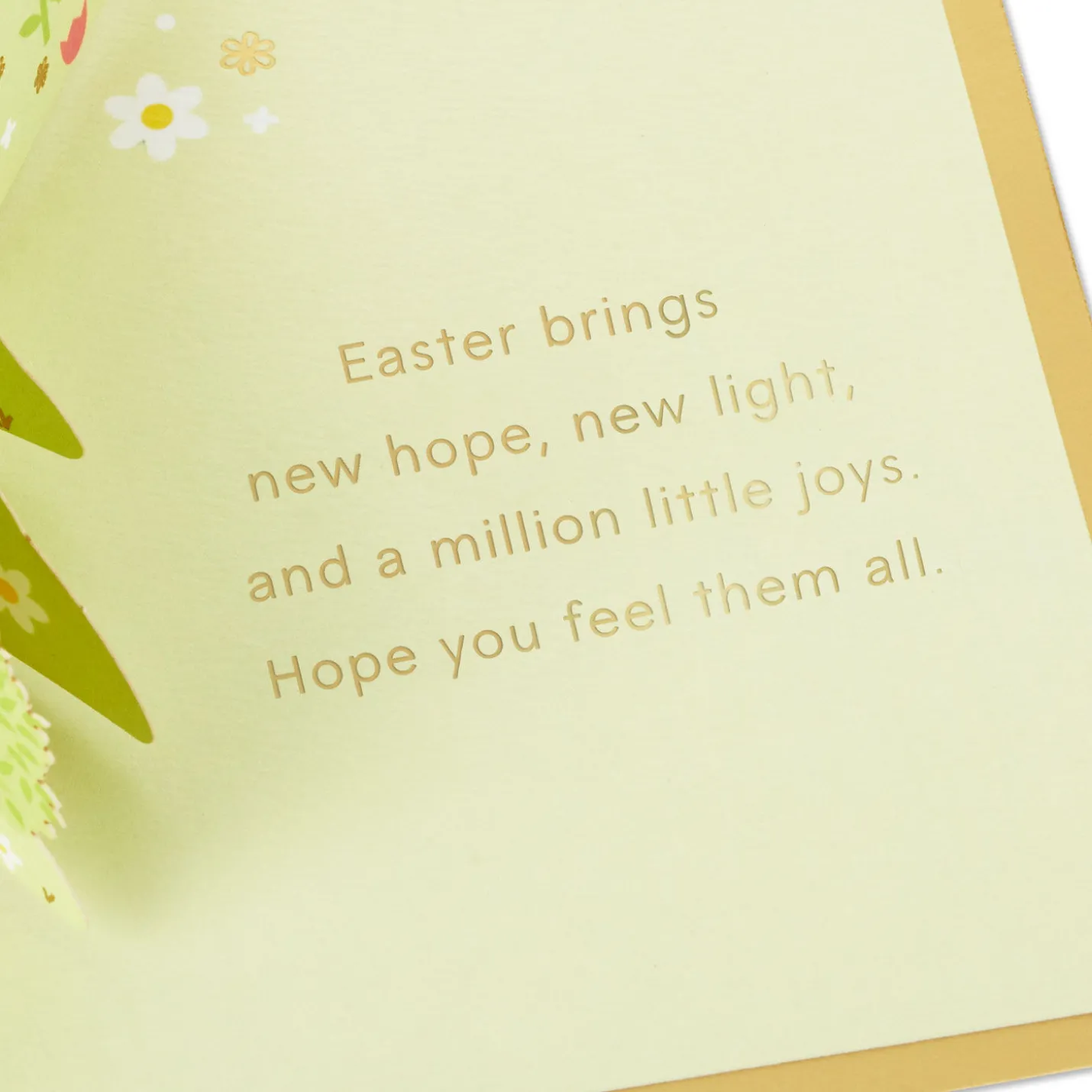 Peanuts® Snoopy and Woodstock Easter Wonders 3D Pop-Up Easter Card
