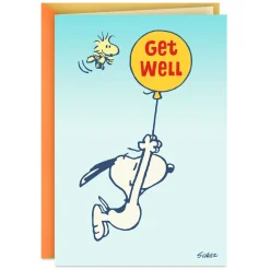 Peanuts® Snoopy and Woodstock Hang in There Get Well Card