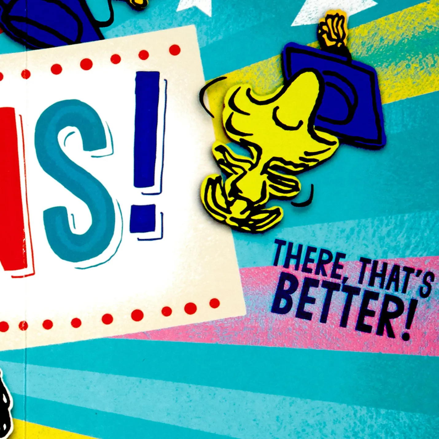 Peanuts® Snoopy and Woodstock Banner Graduation Card