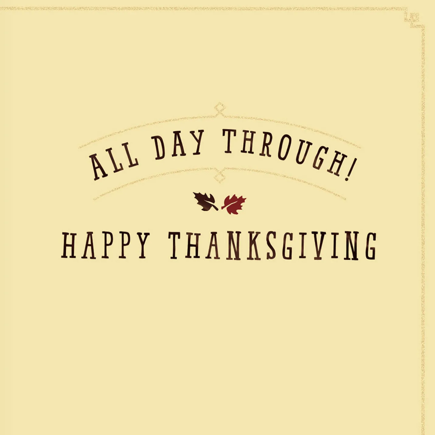 Peanuts® Snoopy and Woodstock Hugs to You Thanksgiving Card