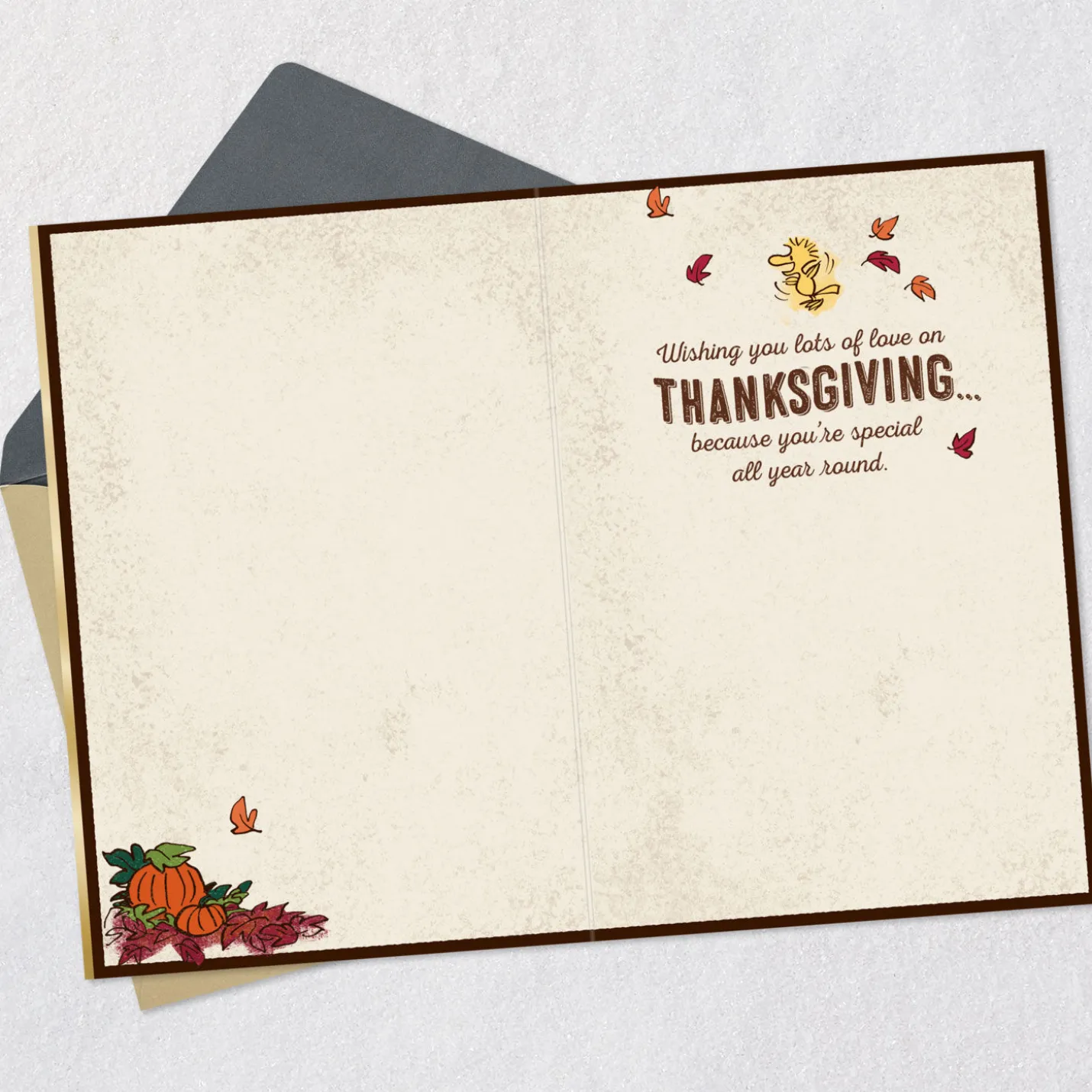 Peanuts® Snoopy and Woodstock Lots of Love Thanksgiving Card