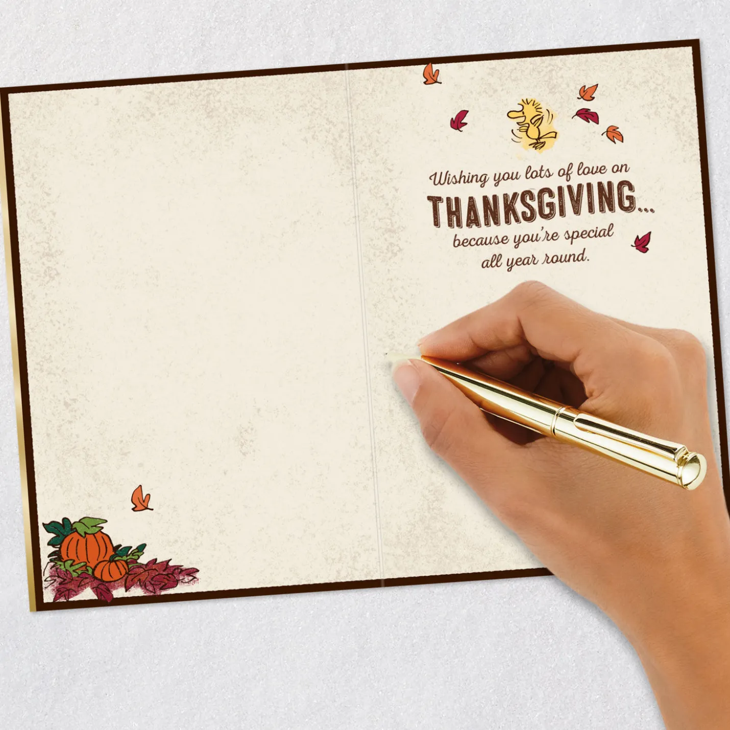 Peanuts® Snoopy and Woodstock Lots of Love Thanksgiving Card