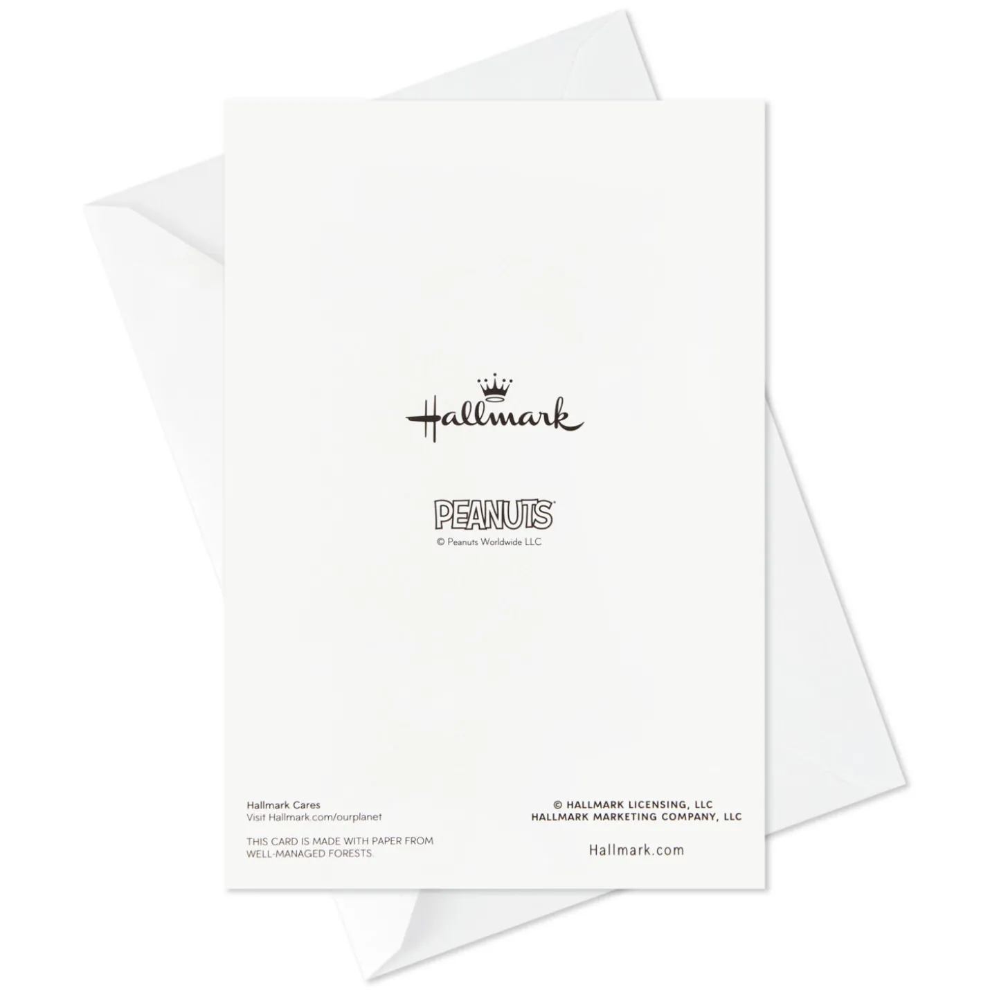 Peanuts® Snoopy Assorted Birthday Cards, Pack of 12