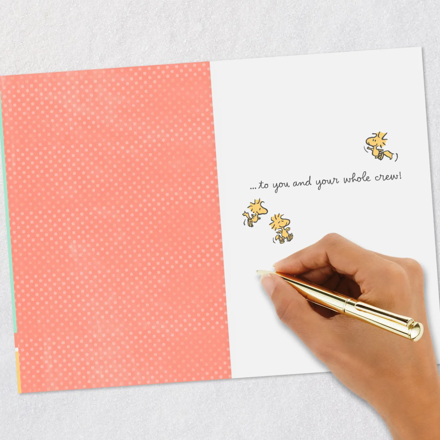 Peanuts® Snoopy Easter Bunny and Woodstock Easter Card for All