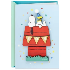 Peanuts® Snoopy Laid-Back Day for a Much Loved Son Birthday Card