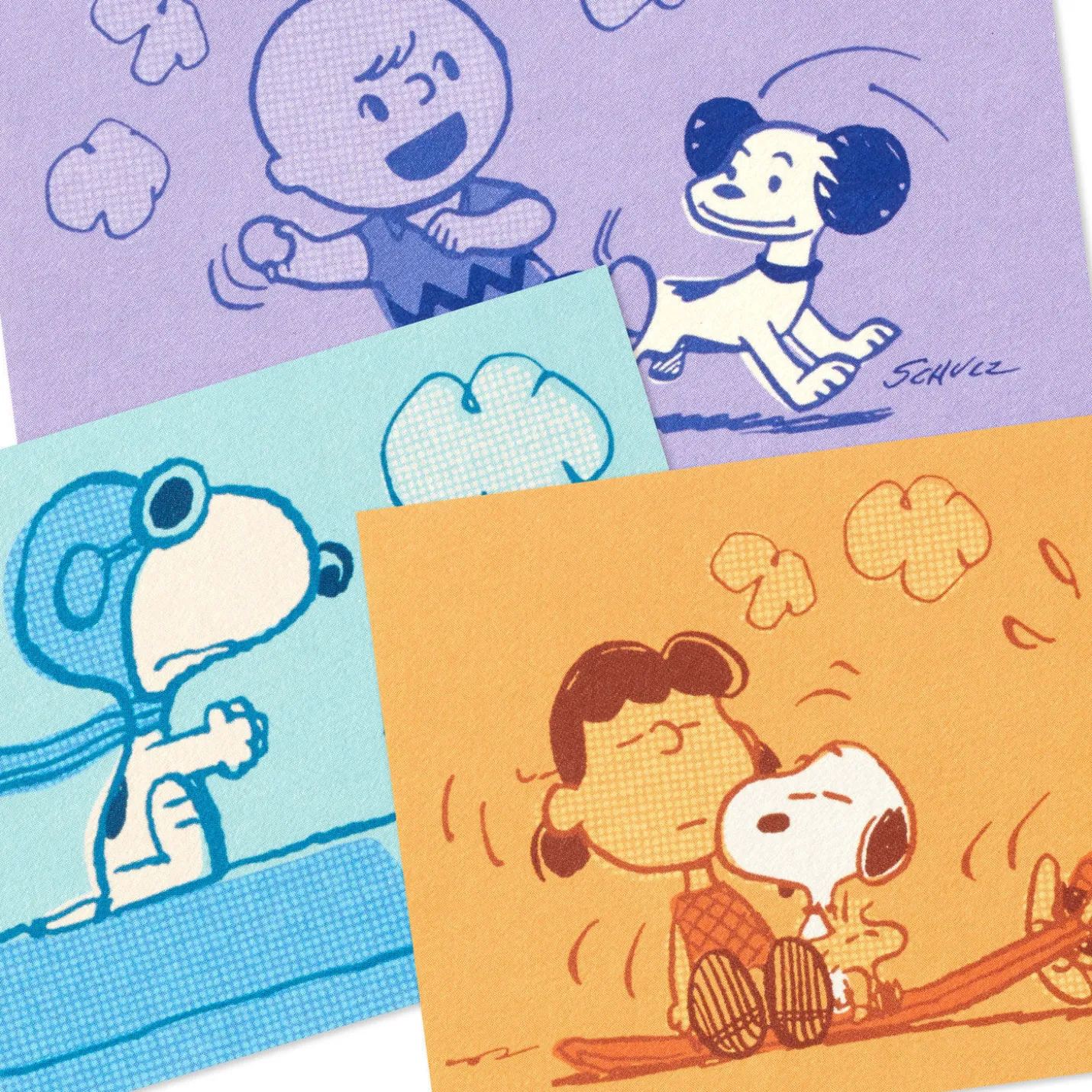 Peanuts® 75th Anniversary Nostalgic Scenes Assorted Blank Mini Note Cards, Pack of 12