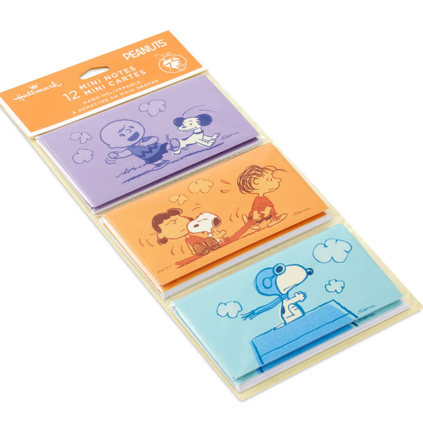 Peanuts® 75th Anniversary Nostalgic Scenes Assorted Blank Mini Note Cards, Pack of 12