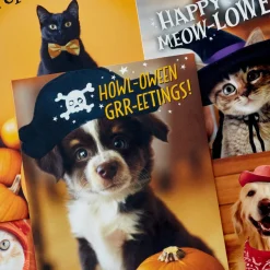 Pet Puns Assortment Boxed Halloween Cards, Pack of 48