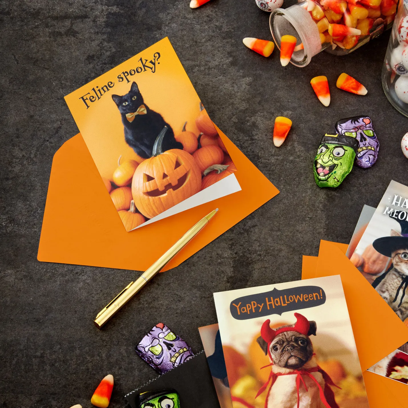 Pet Puns Assortment Boxed Halloween Cards, Pack of 48