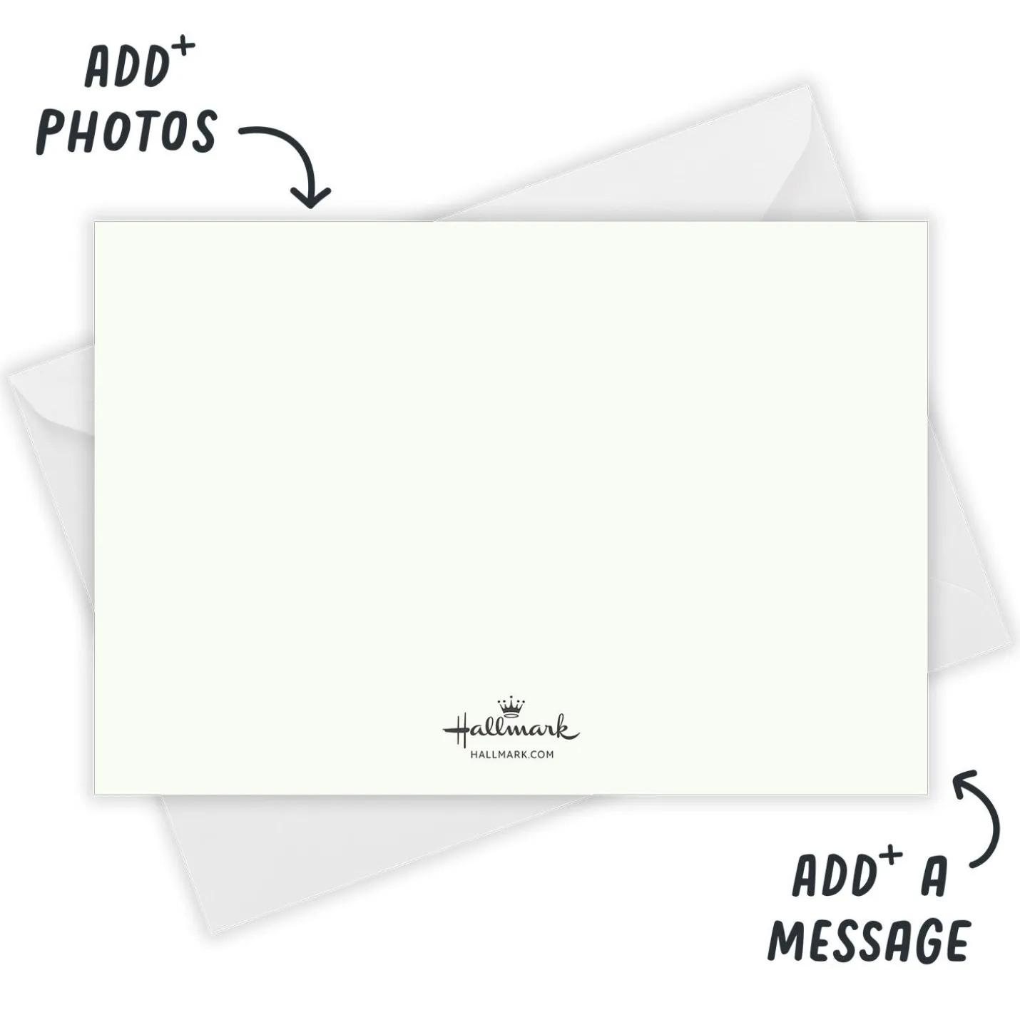 Pine and Citrus Flat Holiday Photo Card