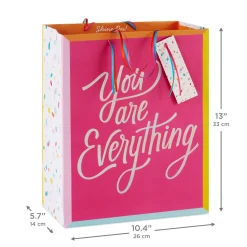 13" Pink You Are Everything Large Gift Bag