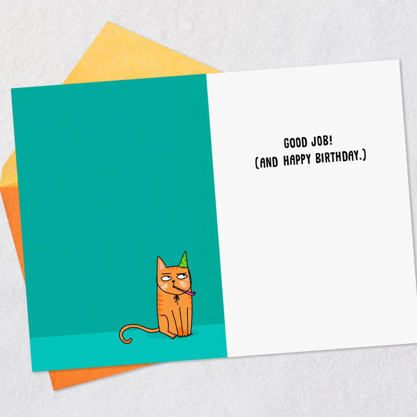 Pretend to Read This Funny Birthday Card