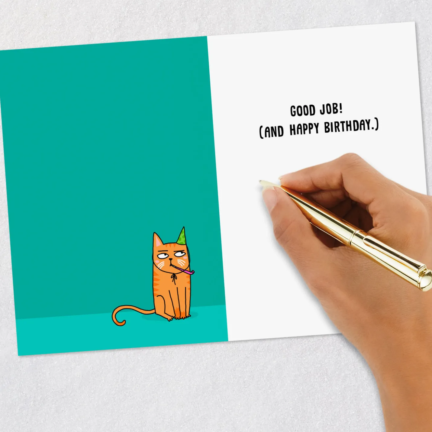 Pretend to Read This Funny Birthday Card