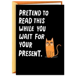 Pretend to Read This Funny Birthday Card