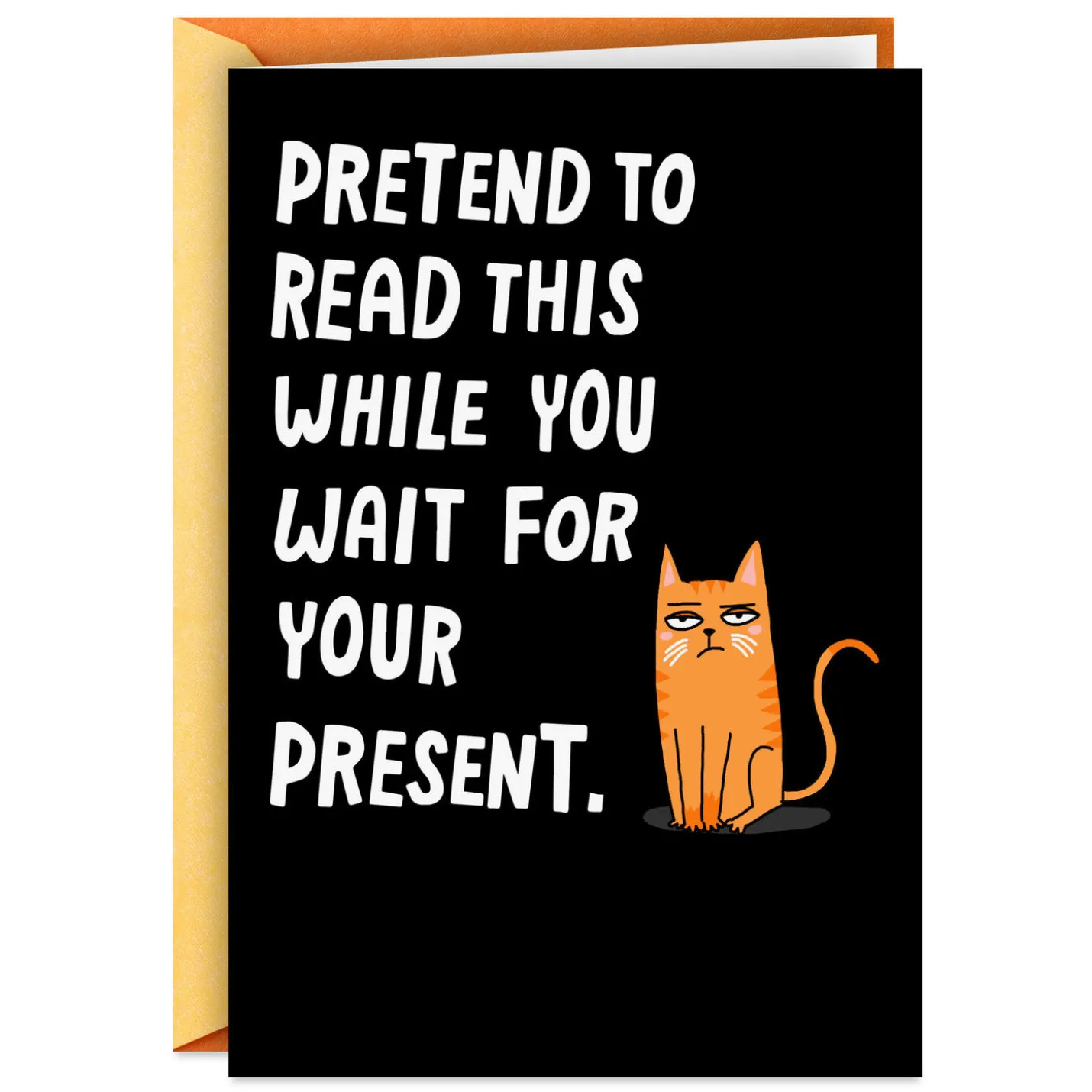 Pretend to Read This Funny Birthday Card