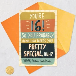 Pretty Special All the Time 16th Birthday Card