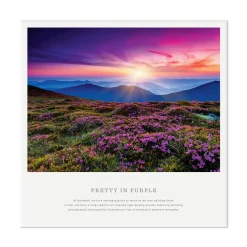 Pretty in Purple 550-Piece Jigsaw Puzzle