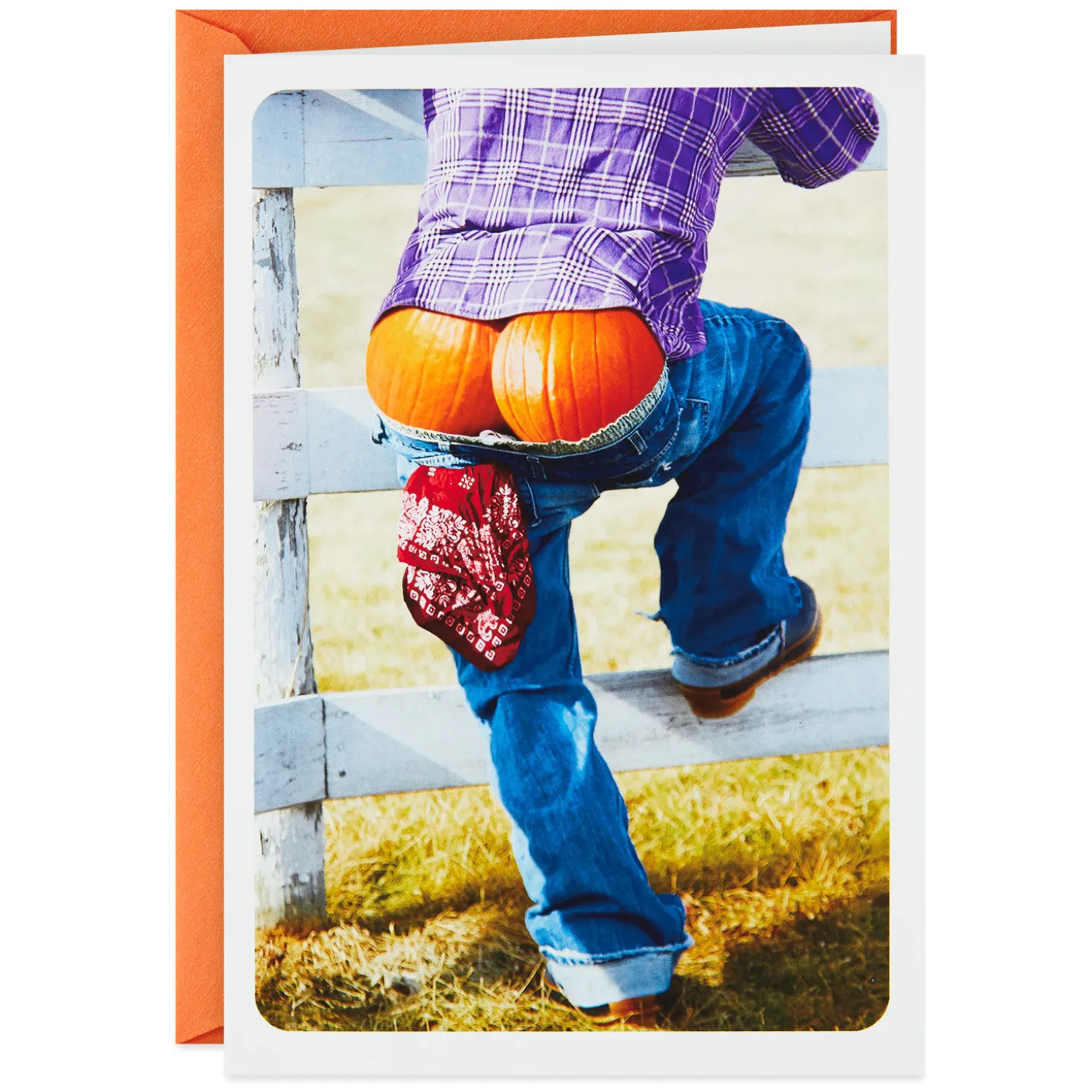 Pumpkin Butt Funny Halloween Card