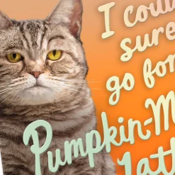 Pumpkin-Mice Latte Funny Halloween Card