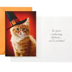 Pumpkins and Witches Assorted Halloween Cards, Pack of 8