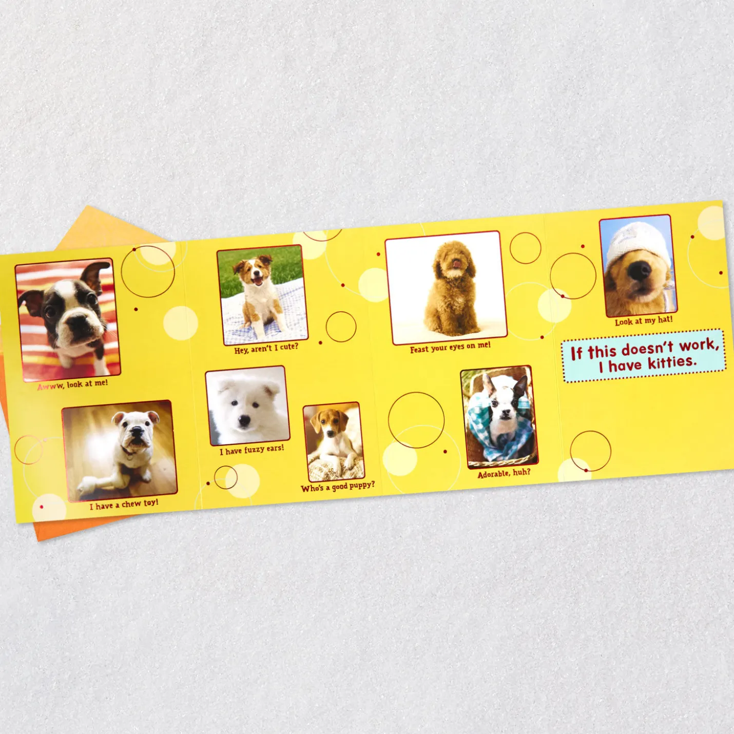 Puppy Pics to Help Forget Getting Older Birthday Card