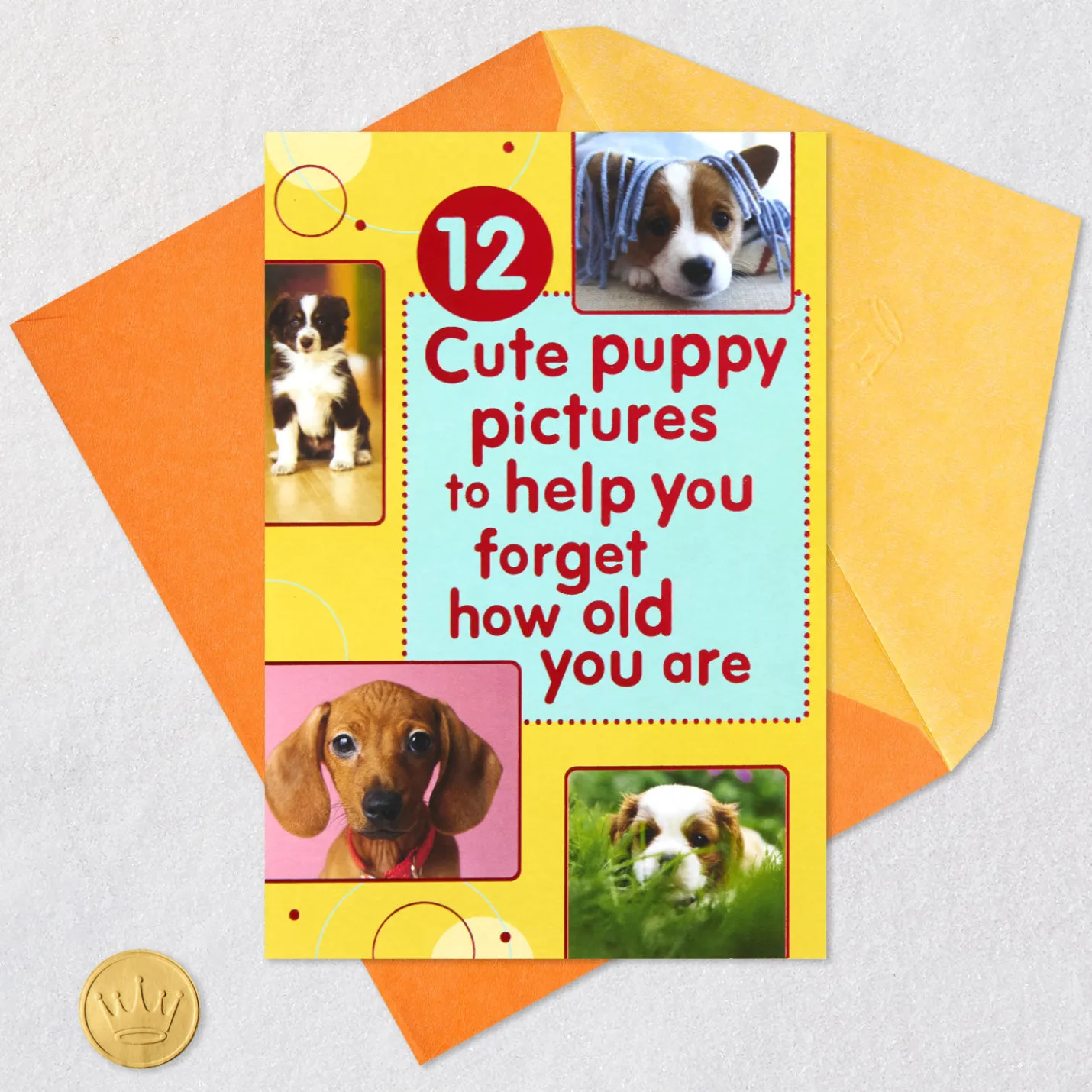 Puppy Pics to Help Forget Getting Older Birthday Card