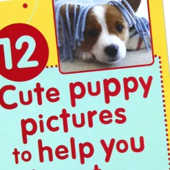 Puppy Pics to Help Forget Getting Older Birthday Card