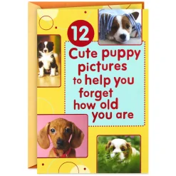 Puppy Pics to Help Forget Getting Older Birthday Card
