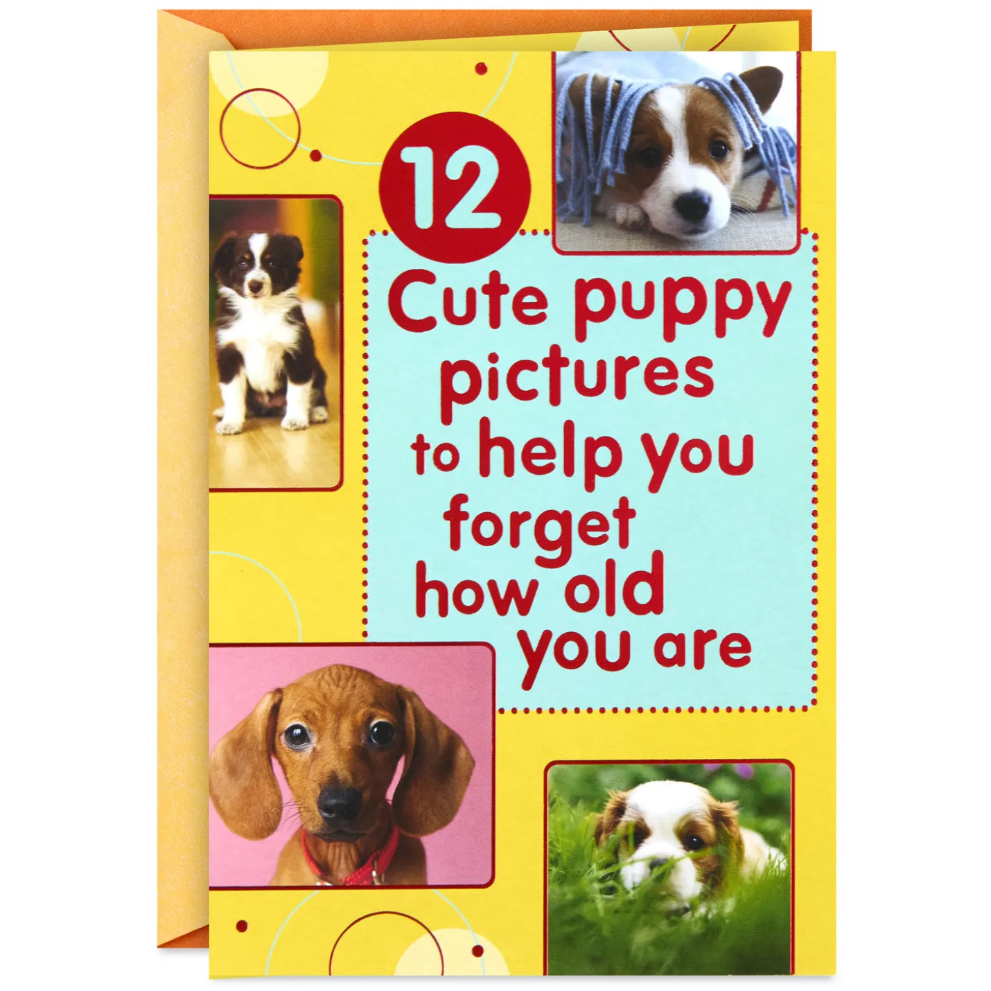 Puppy Pics to Help Forget Getting Older Birthday Card
