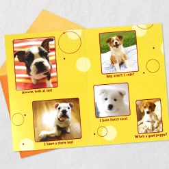 Puppy Pics to Help Forget Getting Older Birthday Card