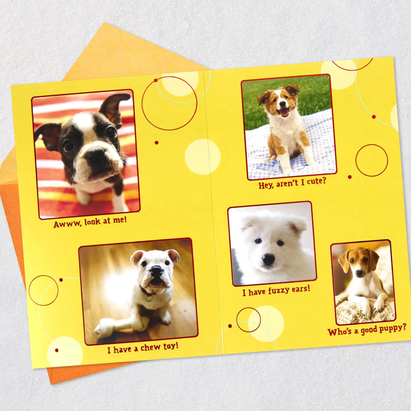Puppy Pics to Help Forget Getting Older Birthday Card