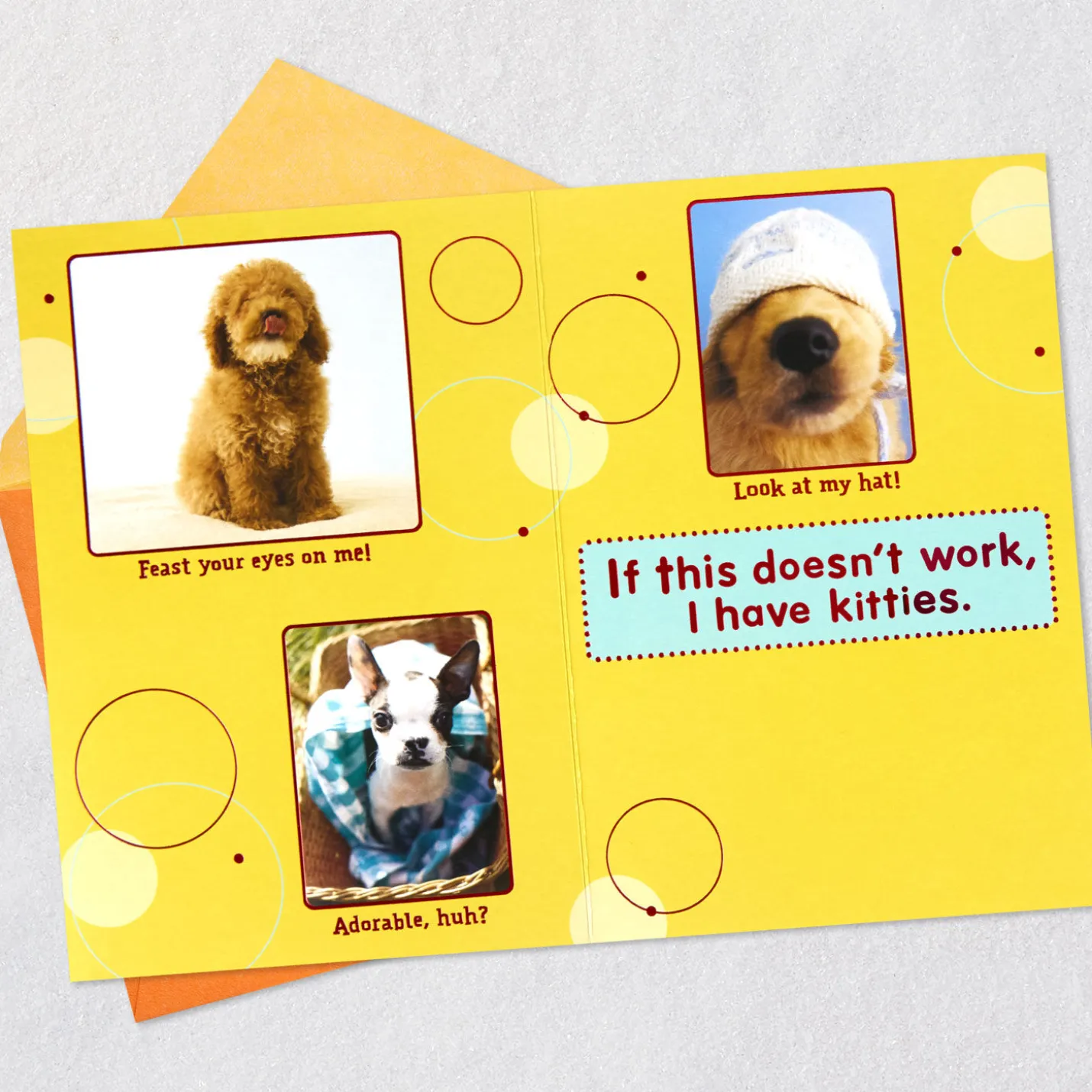 Puppy Pics to Help Forget Getting Older Birthday Card
