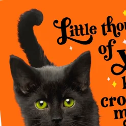 Purr-fectly Wonderful Black Cat Halloween Cards, Pack of 6