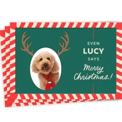 Reindeer Face Funny Flat Christmas Photo Card