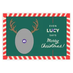 Reindeer Face Funny Flat Christmas Photo Card