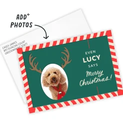 Reindeer Face Funny Flat Christmas Photo Card