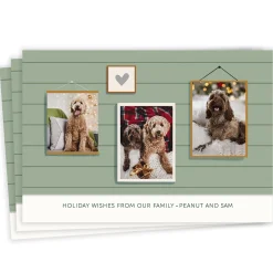 Rustic Portrait Wall Flat Holiday Photo Card