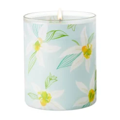 Salted Vanilla and Sandalwood Scented 2-Wick Jar Candle, 14.5 oz.